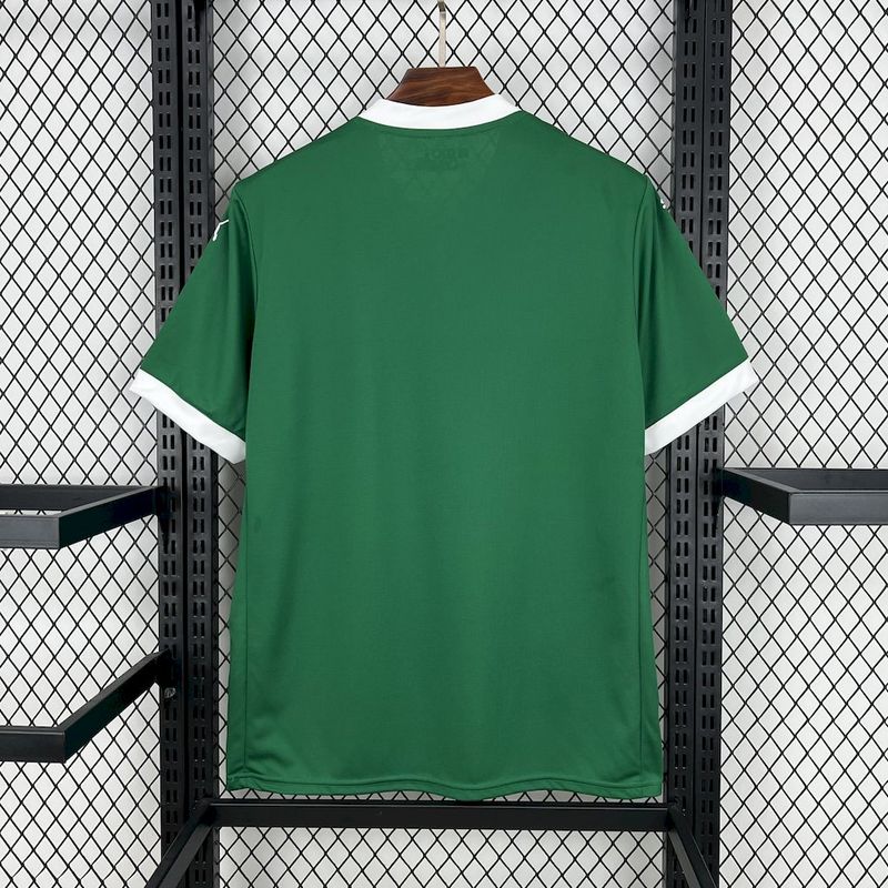 Camisa Palmeiras 2025 Puma - Verde