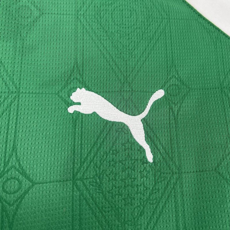 Camisa Palmeiras 2025 Puma - Verde